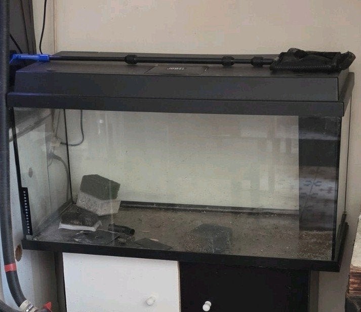 Aquarium juwel 100l, Couvercle inclus, Enlèvement, Utilisé, Autres types