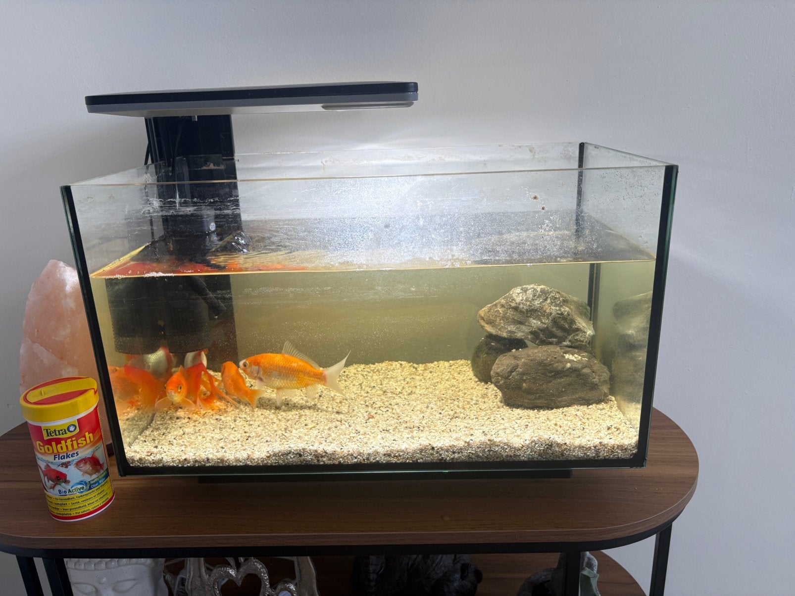 Aquarium, Ophalen, Zo goed als nieuw, Superfish