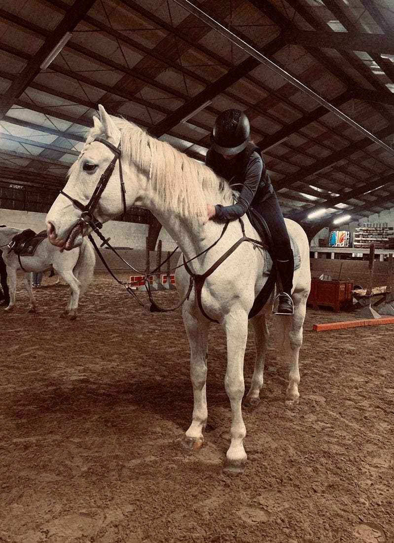 Ik zoek een verzorgpony/paard