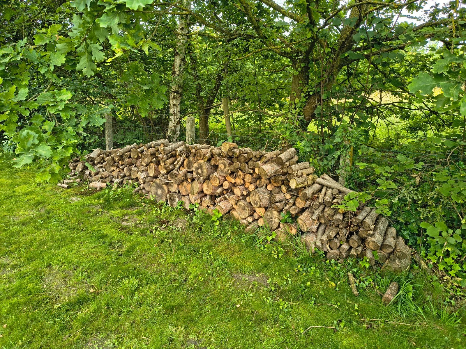 Brandhout-spar-op maat gezaagd - GRATIS, Tuin en Terras, Brandhout, Ophalen