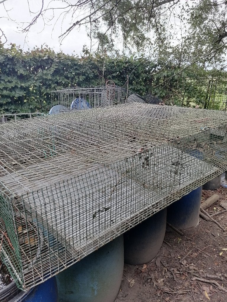 afmestkooien voor konijnen, Dieren en Toebehoren, Ophalen, Gebruikt, Kooi, Konijn
