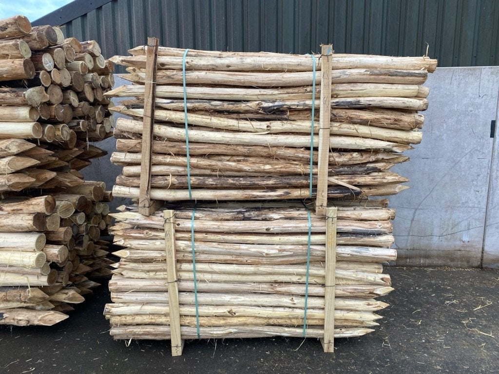 Acasia weide palen, Ophalen of Verzenden, Nieuw, 180 tot 250 cm, Palen