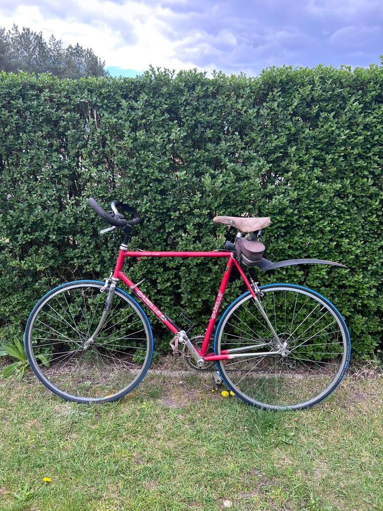 Gazelle koersfiets champion mondial, Vélos & Vélomoteurs, Vélos | Hommes | Vélos de sport & Vélo de randonnée, Enlèvement, Comme neuf