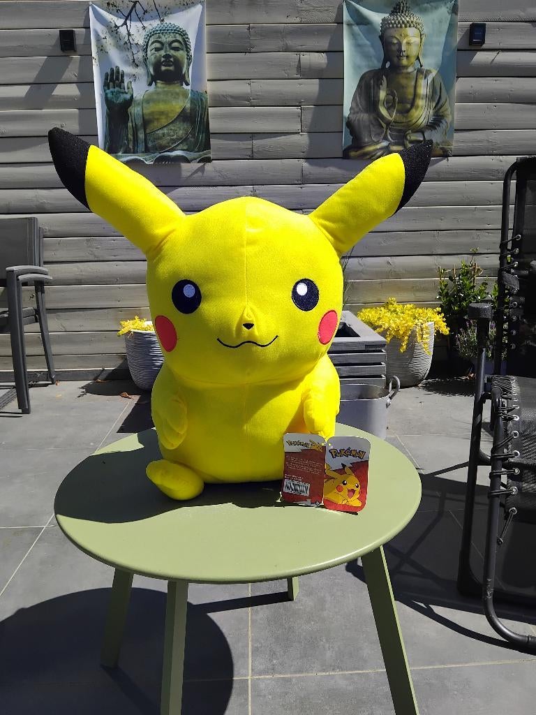 Pokémon  knuffel, Neuf, Jaune, Autres marques, Autres types