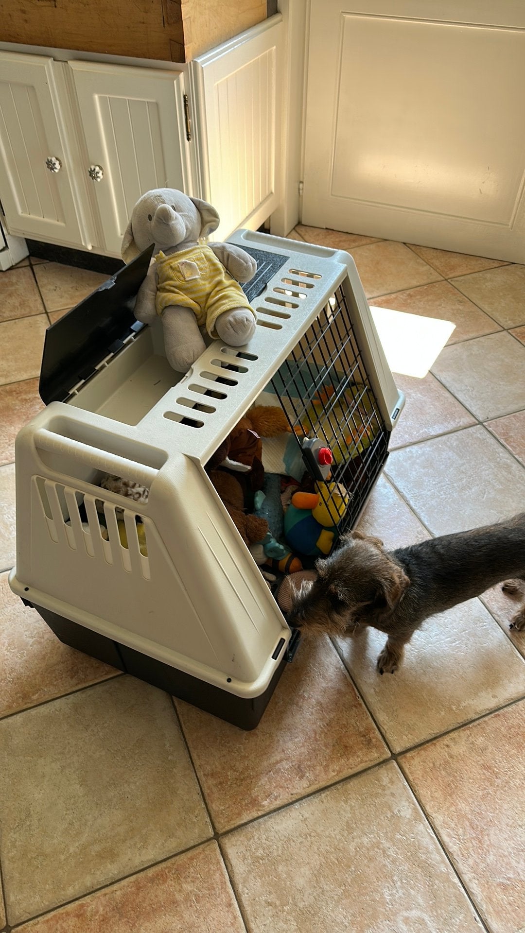 Transportbox voor honden Atlas Car 80, Enlèvement, Comme neuf, Chiens
