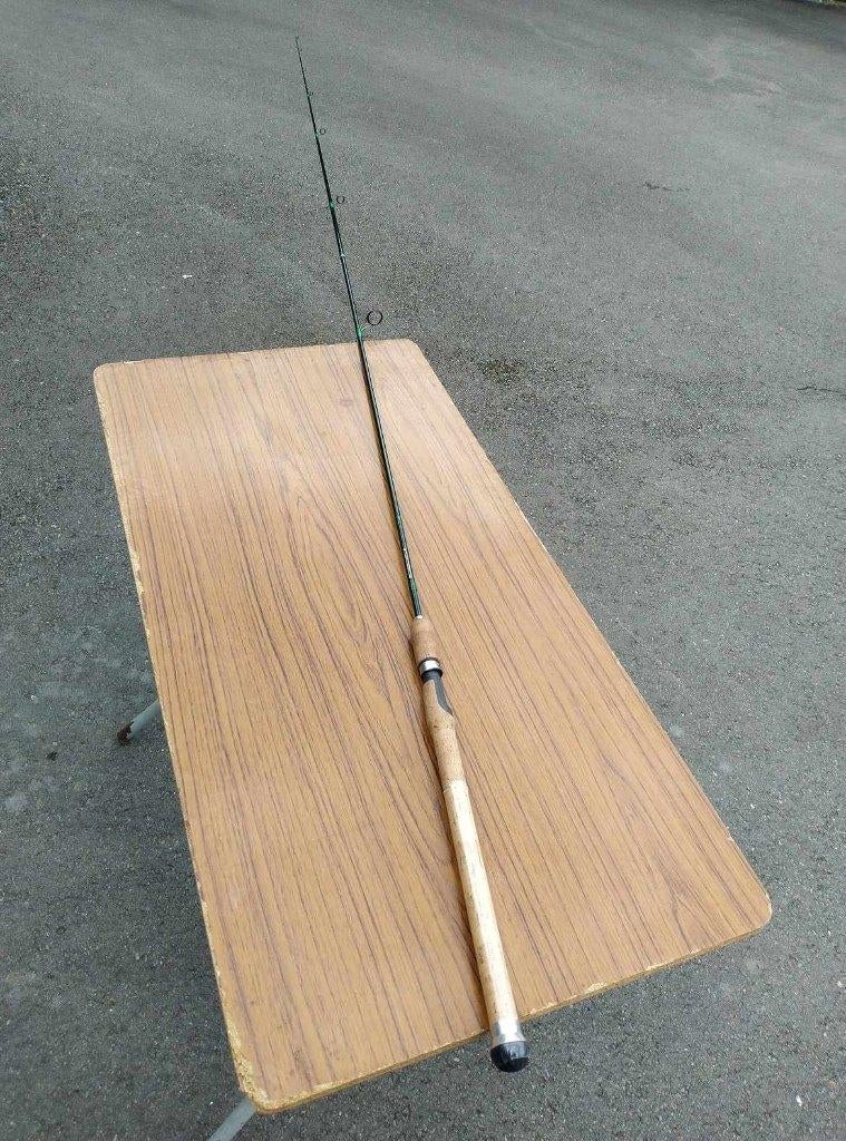 Canne à pêche au lancer truite Aston, Enlèvement, Neuf