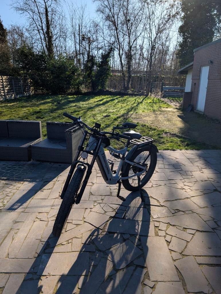 Krachtige speed pedelec - 2000W Dual Motor - 45 km/u, Fietsen en Brommers, Ophalen of Verzenden, Aluminium