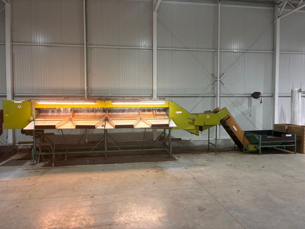 sorteerder paprika tomaten e.d., Zakelijke goederen, Landbouw | Aardappelen, Groenten, Fruit en Vlees, Ophalen