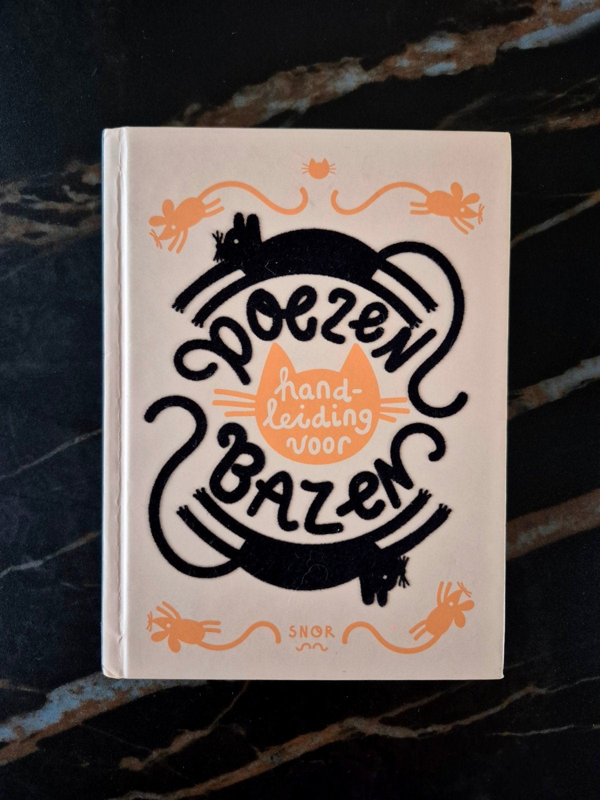 Annemarieke Piers - Poezen handleiding voor bazen, Boeken, Ophalen of Verzenden, Katten, Annemarieke Piers