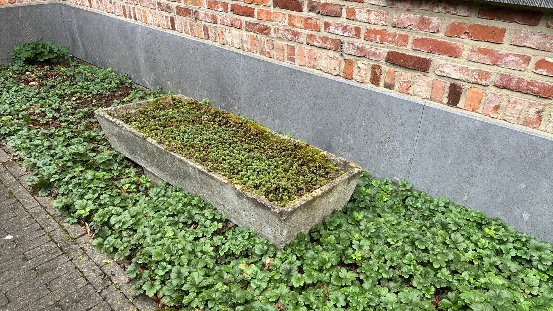 Beton bloembak modern, Ophalen, Gebruikt, Minder dan 30 cm, 100 cm of meer