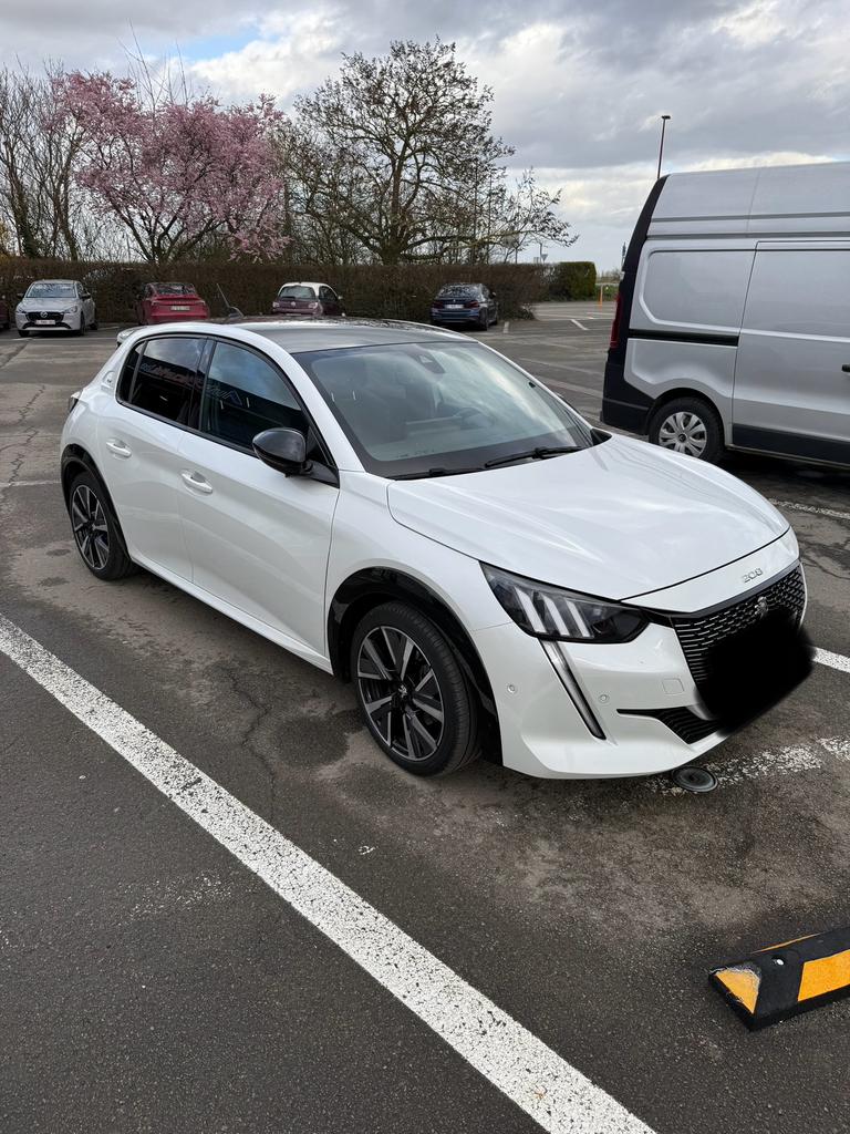 Peugeot 208 II 1.2 PureTech 130 pk S&S GT Line EAT8 7 pk, 4 deurs, Bluetooth, 1199 cc, Leder en Stof