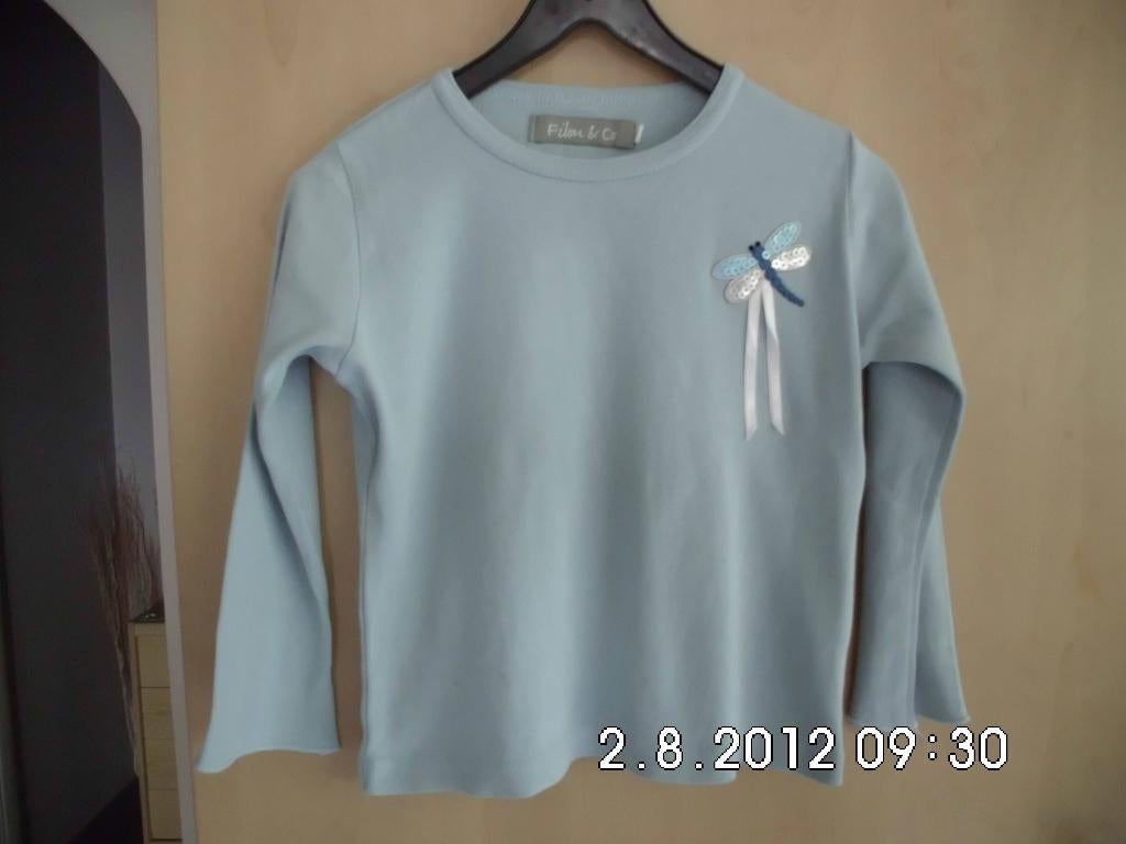 Tshirts, verschillende Merken. maat 110. Meisje., Kinderen en Baby's, Kinderkleding | Maat 110, Meisje, Ophalen of Verzenden, Zo goed als nieuw