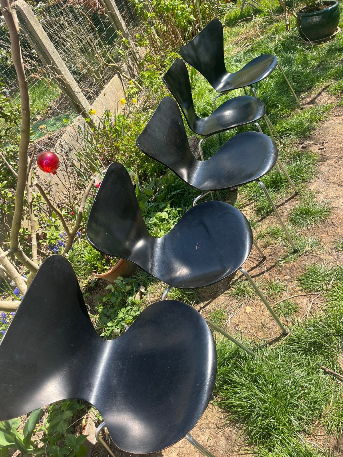 5 chaises d’Arne Jacobsen., Maison & Meubles, Chaises, Enlèvement, Bois, Noir, Cinq, Six Chaises ou plus
