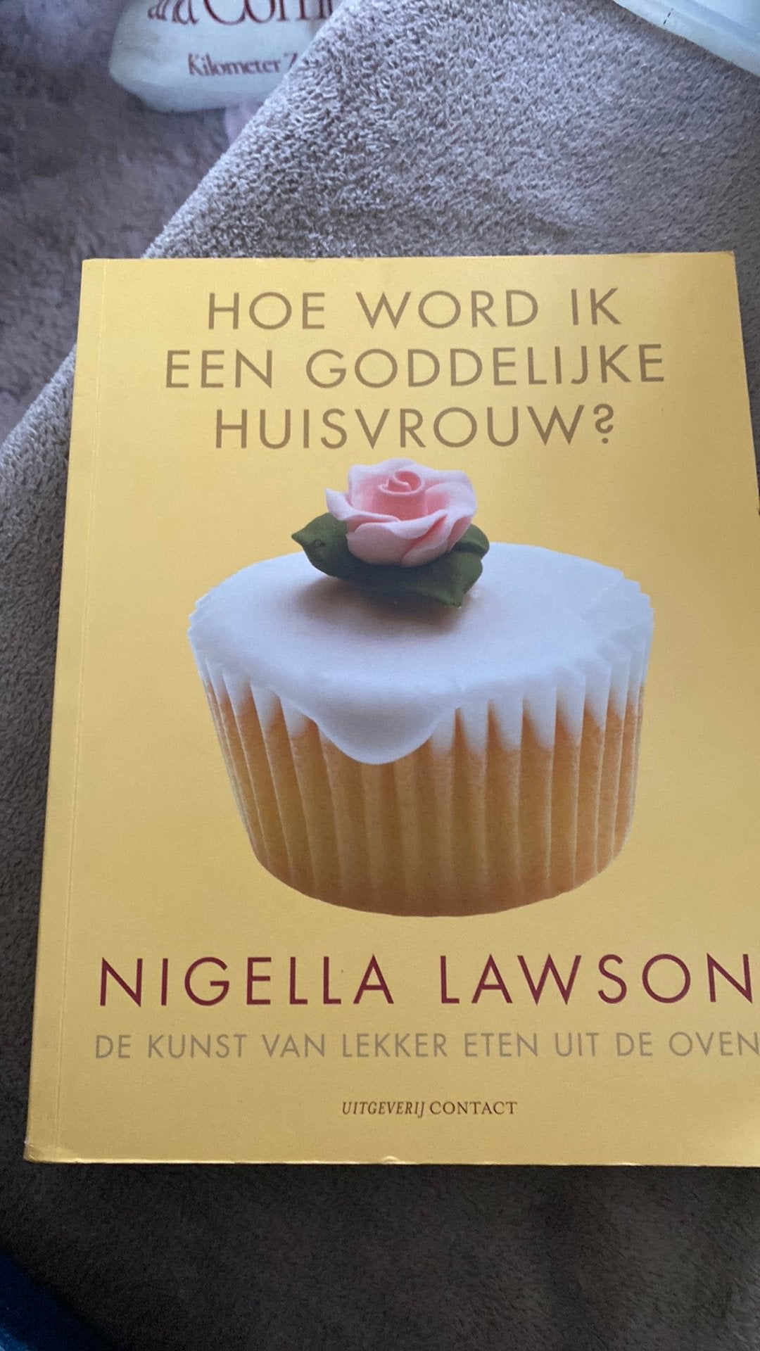 Hoe word ik een goddelijke huisvrouw, Ophalen of Verzenden, Zo goed als nieuw, Nigella Lawson, Europa