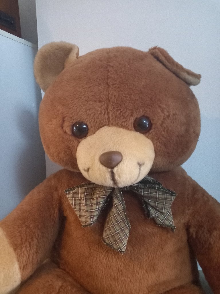 teddybeer, Kinderen en Baby's, Ophalen, Gebruikt, Overige merken, Overige karakters