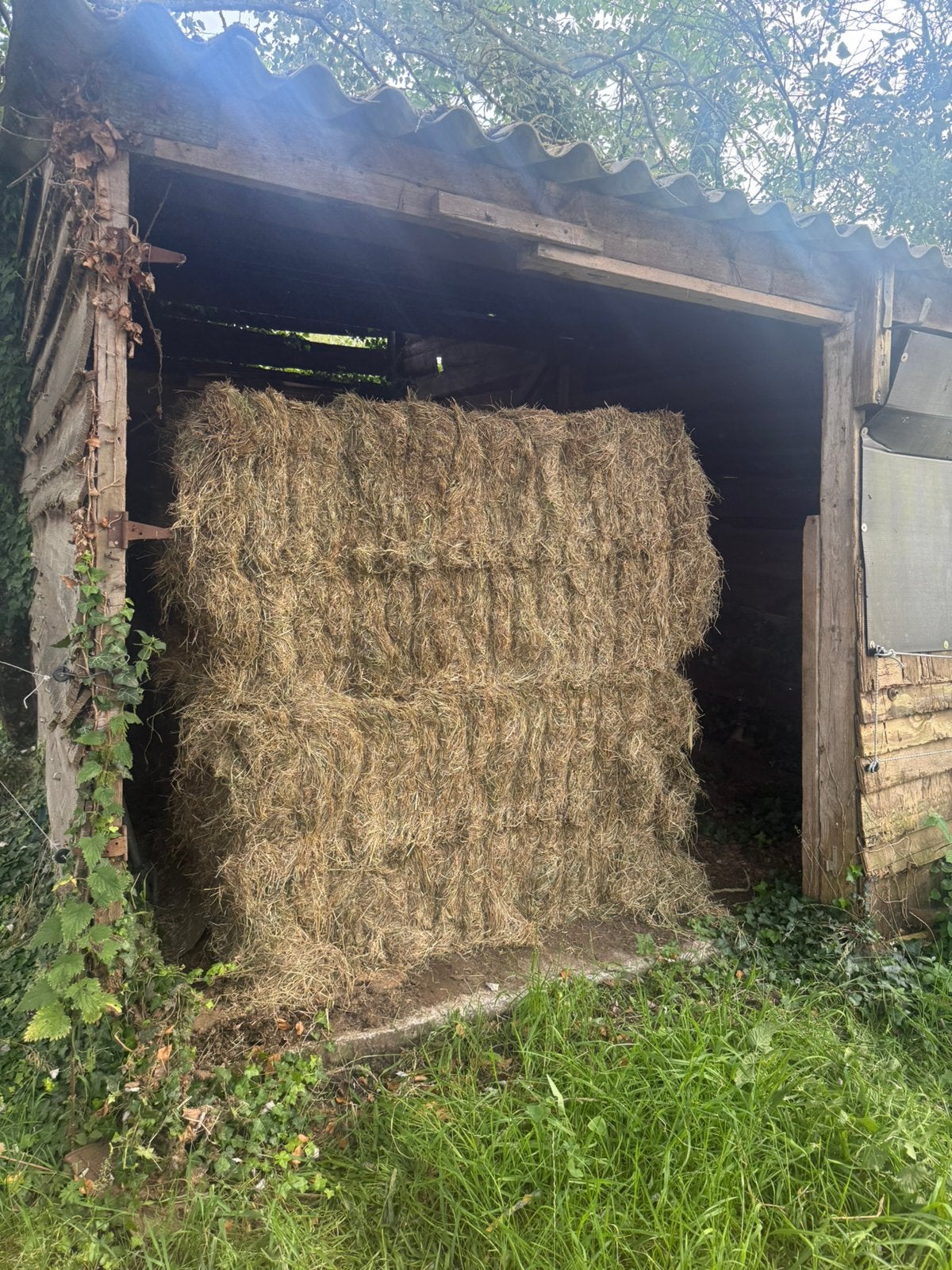 40 grote balen hooi !!, Ophalen