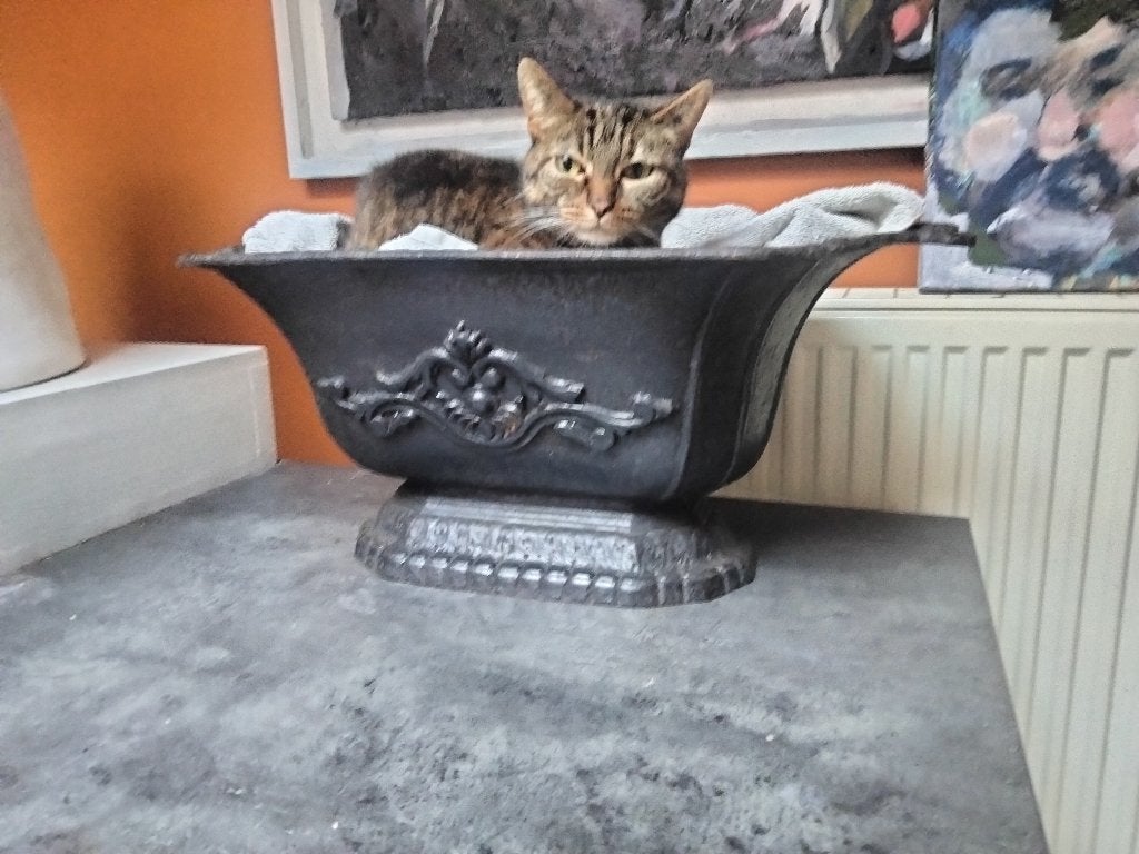 Gietijzeren kolenbak, Enlèvement