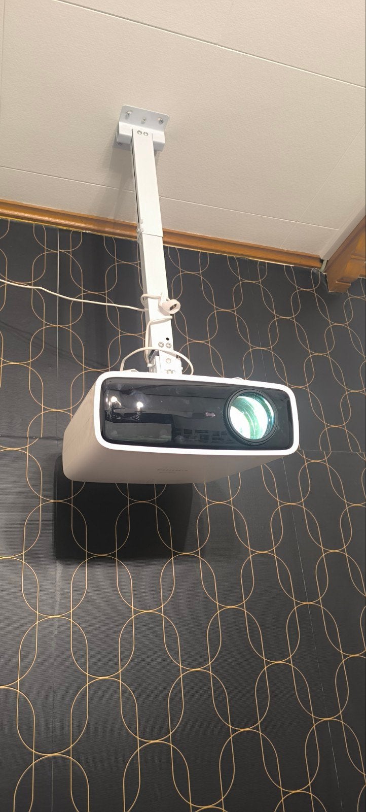 Philips Neopix 750 projector met scherm+statief, Audio, Tv en Foto, Ophalen, Philips, Zo goed als nieuw, Overige technologie