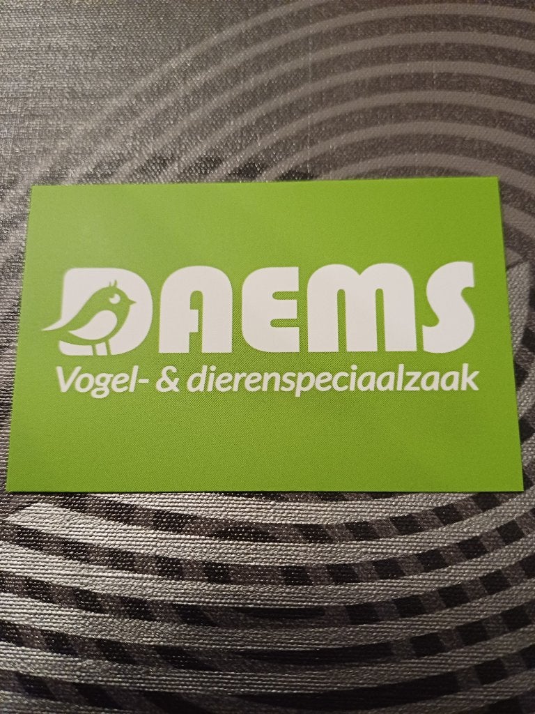 Zebravinken,valken enz, Animaux & Accessoires, Oiseaux | Oiseaux Autre