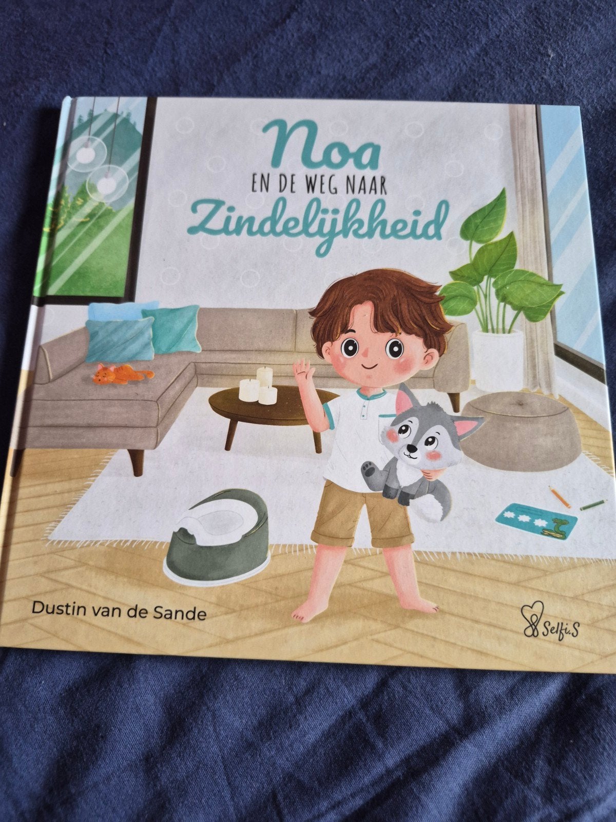 Boek zindelijkheid, Boeken, Ophalen of Verzenden, Dustin Van de Sande
