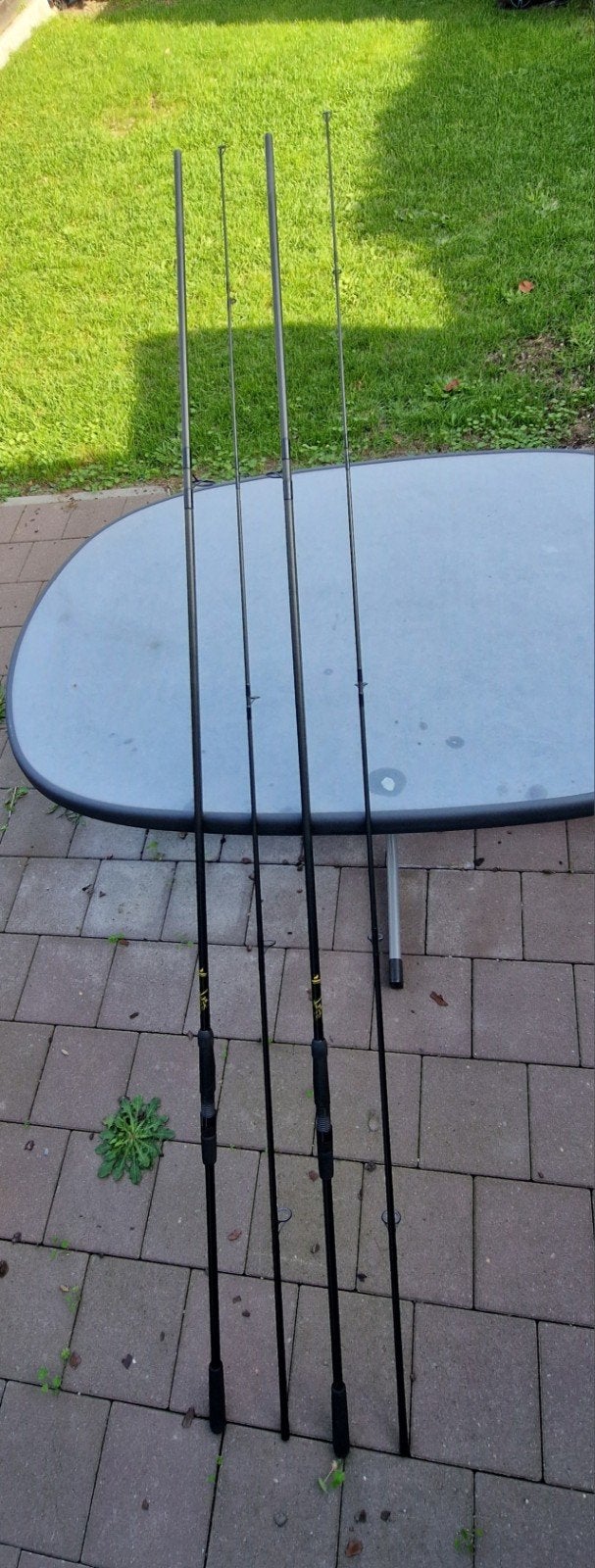 2 x Klassieke Sportex Specimen Carp 13ft 3,5 lbs, Enlèvement, Utilisé, Canne à lancer