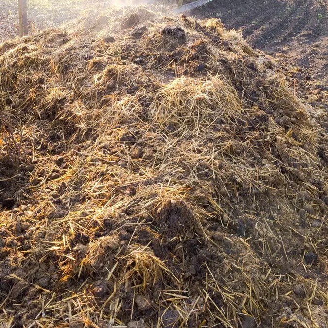 GRATIS Schapenmest afhalen Koersel, Tuin en Terras, Aarde en Mest, Ophalen, Mest