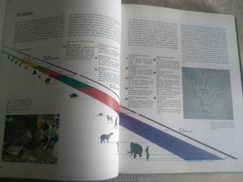 boek: nieuwe geïllustreerde wereldatlas, Boeken, Atlassen en Landkaarten, Ophalen of Verzenden, Gelezen, Wereld
