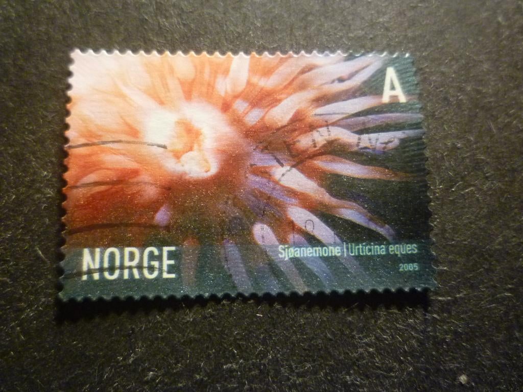 Noorwegen/Norvège 2005 Mi 1545(o) Gestempeld/Oblitéré, Verzenden, Noorwegen