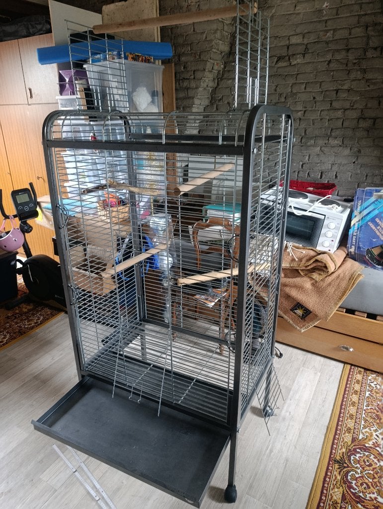 Cage pour perroquet, Animaux & Accessoires, Enlèvement, Comme neuf, Cage à oiseaux