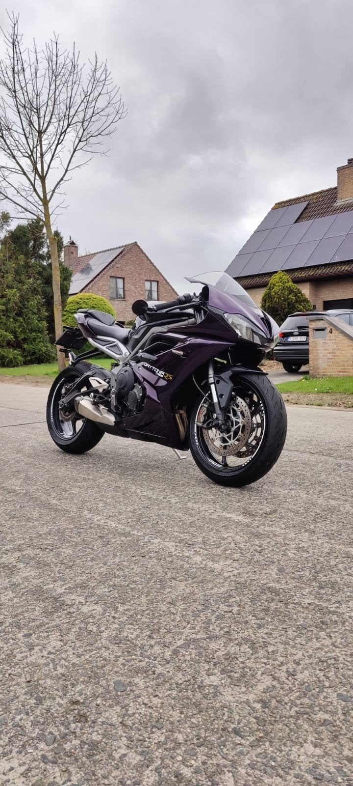 Custom Triumph Street Triple 765 (Daytona), Motos, Quickshifter