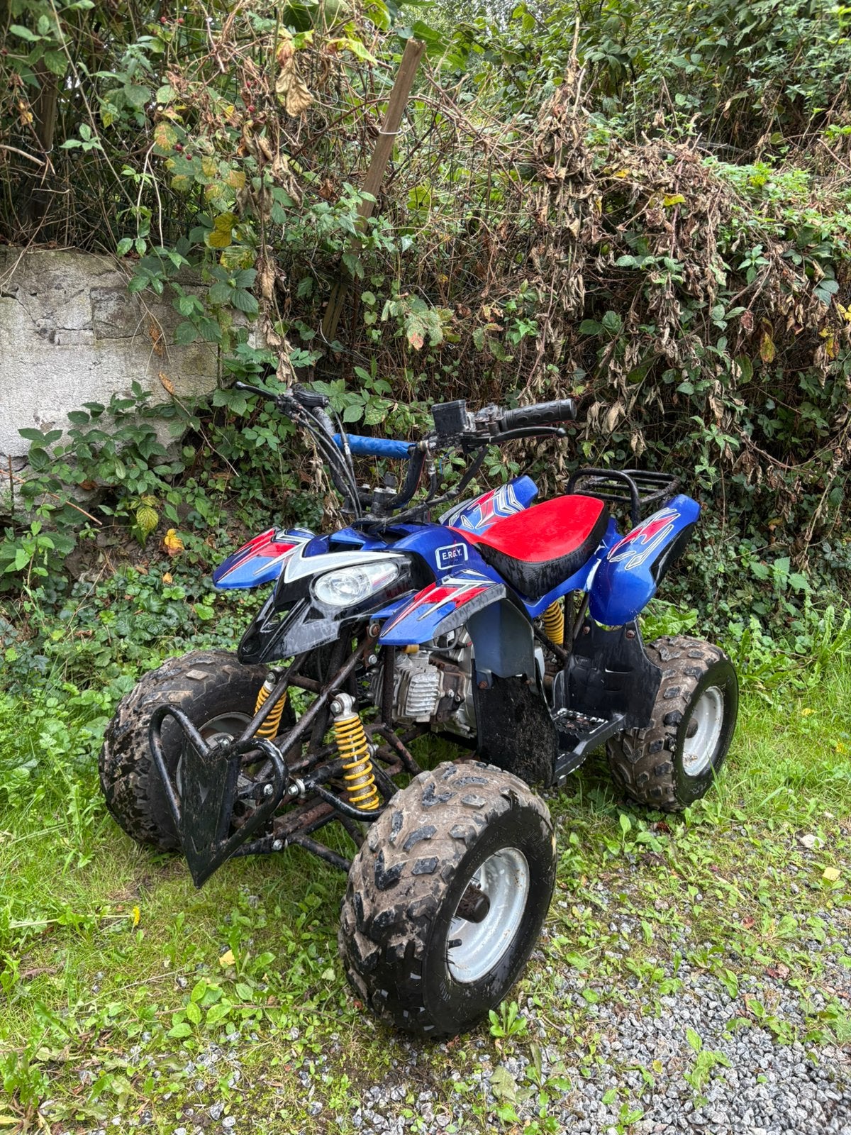 Quad 110cc automatique pour enfant, Enlèvement, Comme neuf