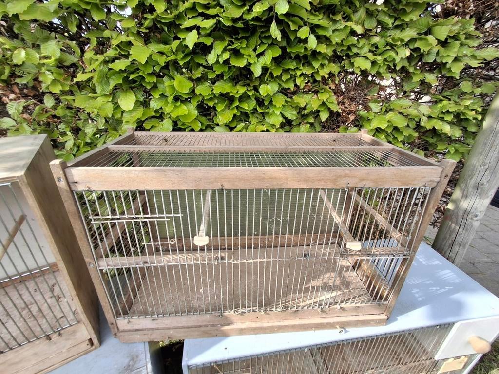 Vogelkooi, Ophalen, Nieuw, Hout, Vogelkooi