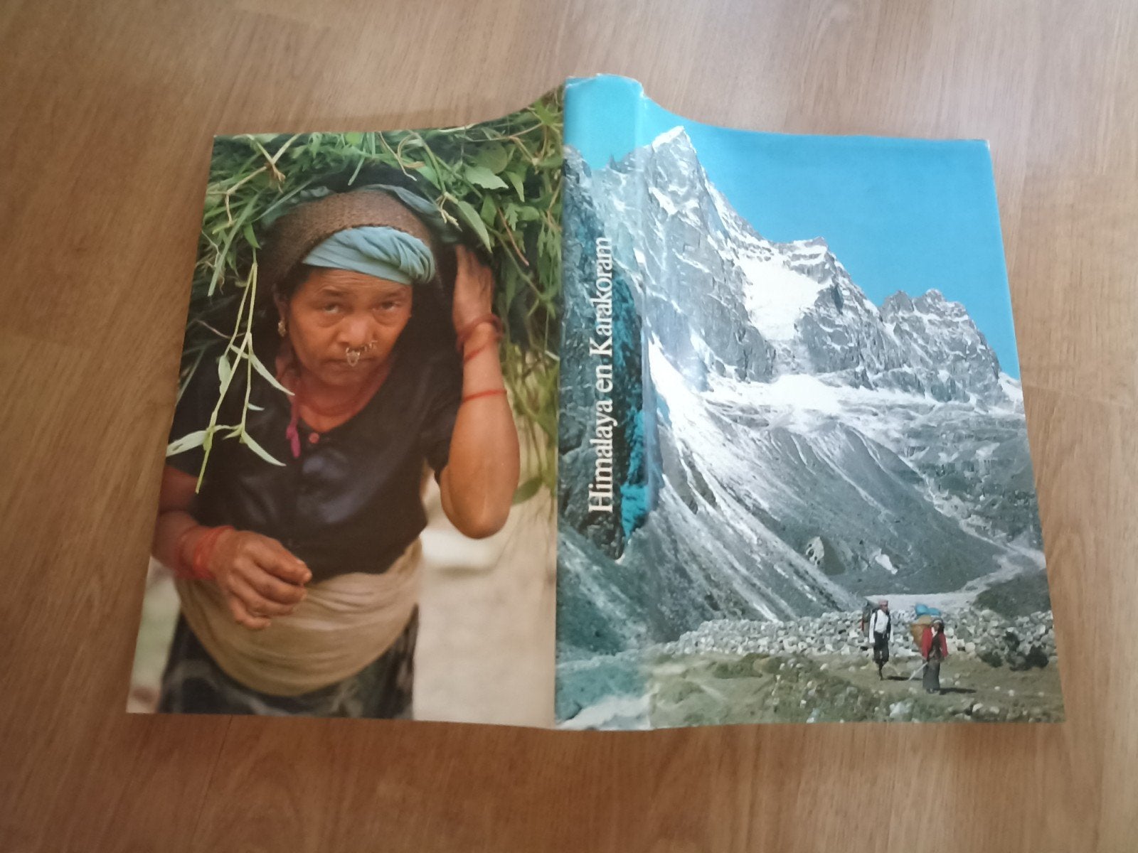 Himalaya en Karakoram, Livres, Art & Culture | Arts plastiques, Enlèvement
