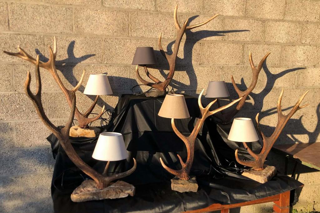 Lampe en bois de cerf, Neuf, 25 à 50 cm, Beige, Enlèvement