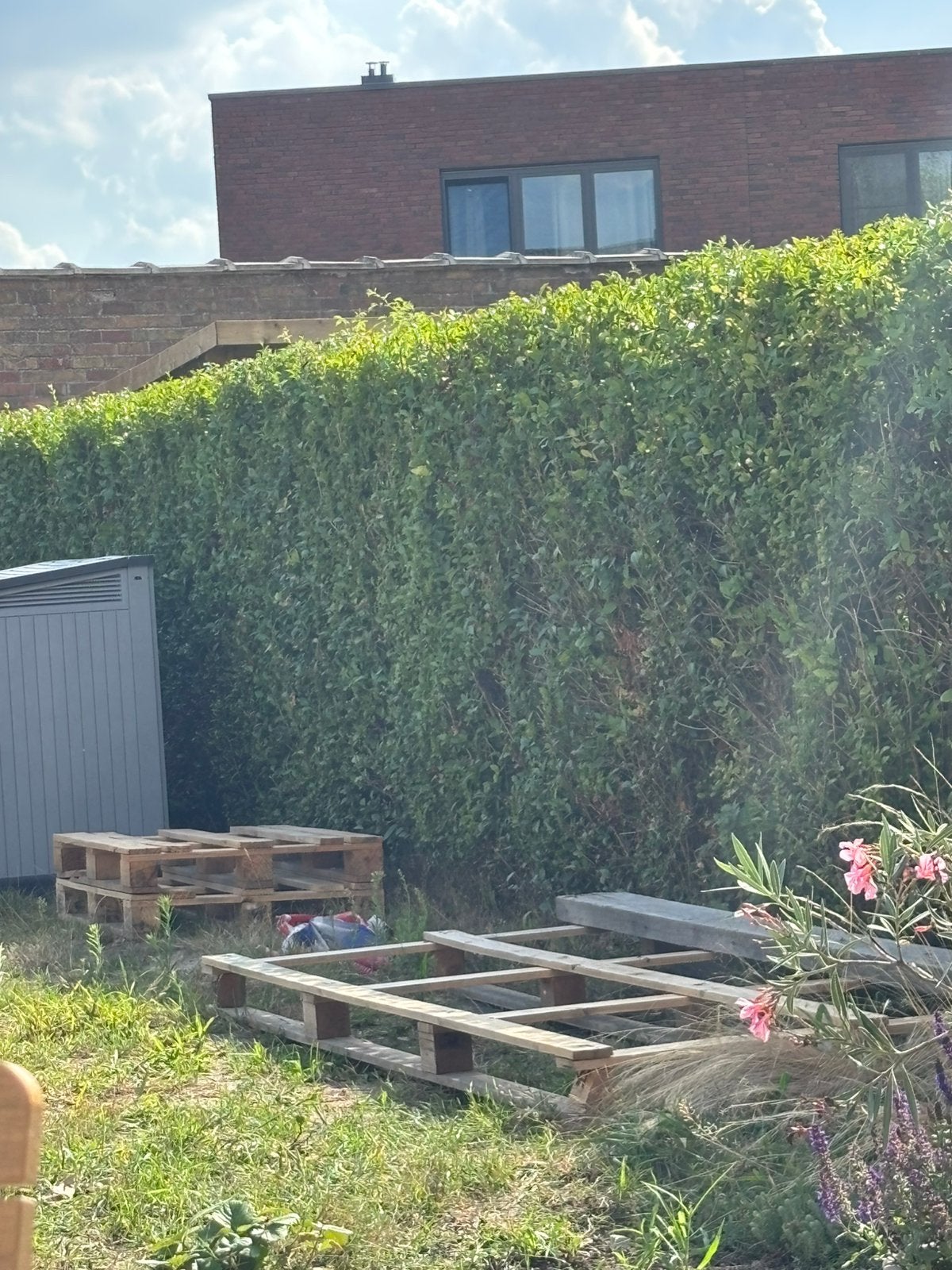 Palleten, Doe-het-zelf en Bouw, Hout en Planken, Ophalen, Gebruikt, Overige houtsoorten, Pallet