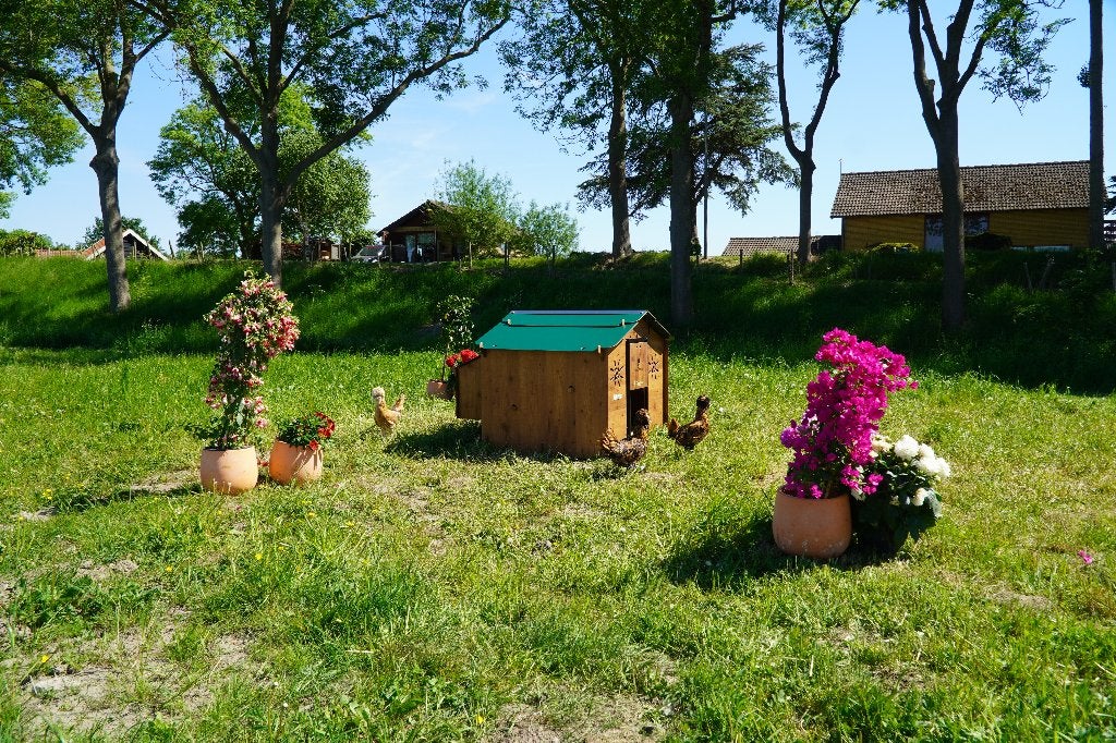Trespa Kippenhok Cucciolotta | Chalet L, Enlèvement ou Envoi, Neuf, Poulailler