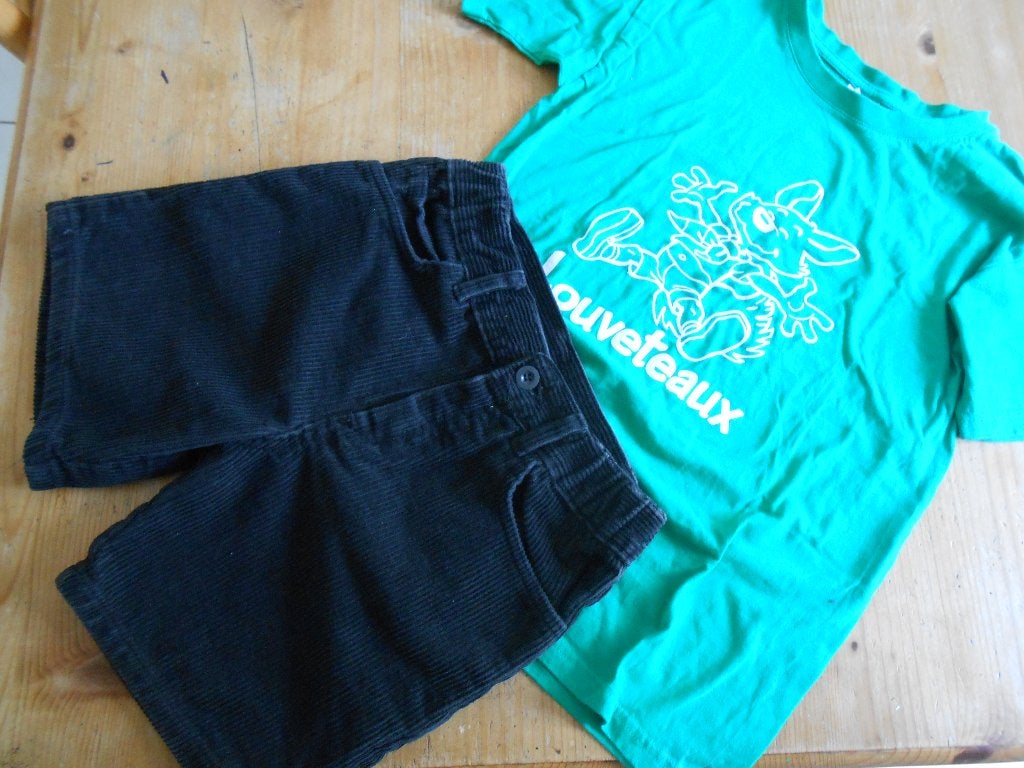 Scout louveteau short 12A 15eur  TShirt 12/14A, 7eur ou lot, Enlèvement, Utilisé, La scouterie, Garçon ou Fille