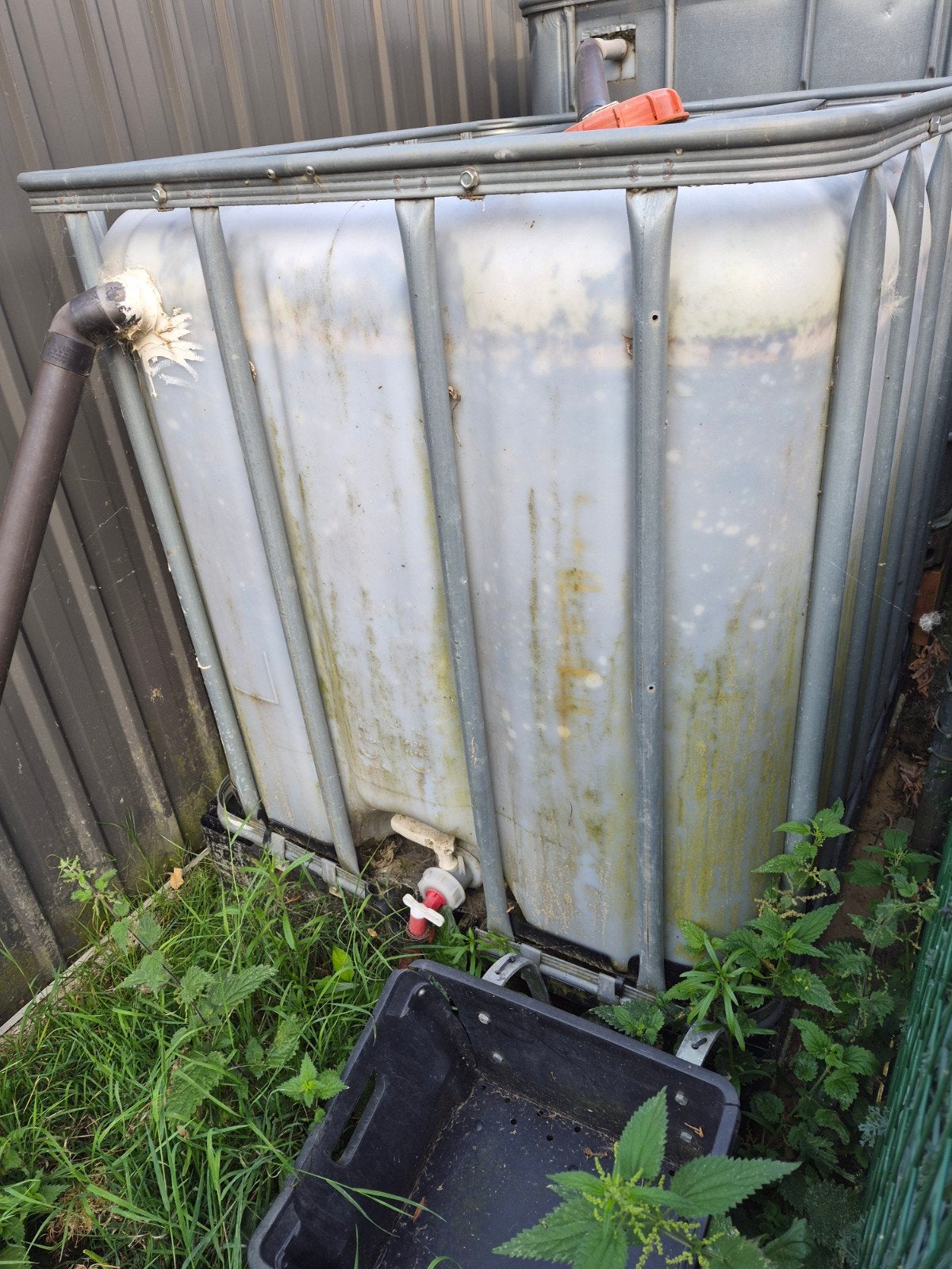 ibc vat, Tuin en Terras, Regentonnen, 150 liter of meer, Ophalen, Gebruikt, Met kraantje