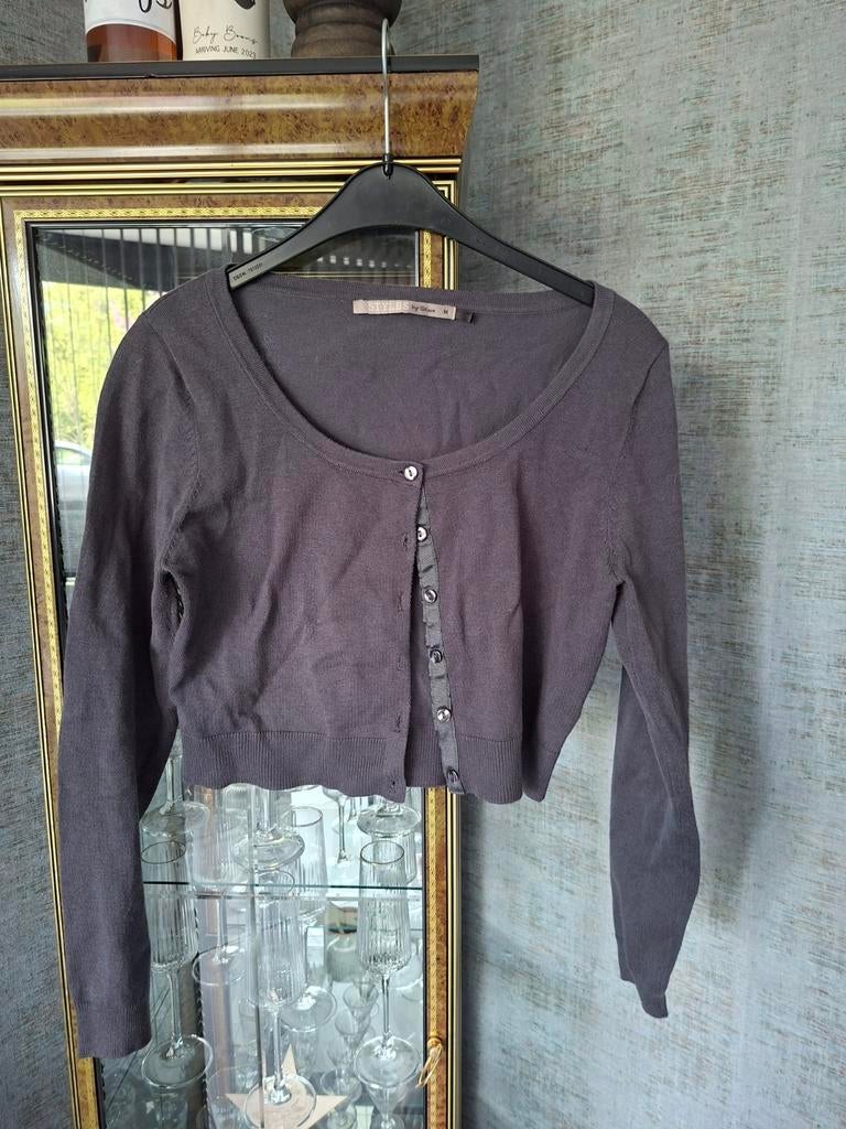 Antraciet kort vestje Styles by Steps - Maat M, Kleding | Dames, Styles by Steps, Ophalen, Gedragen, Maat 38/40 (M)
