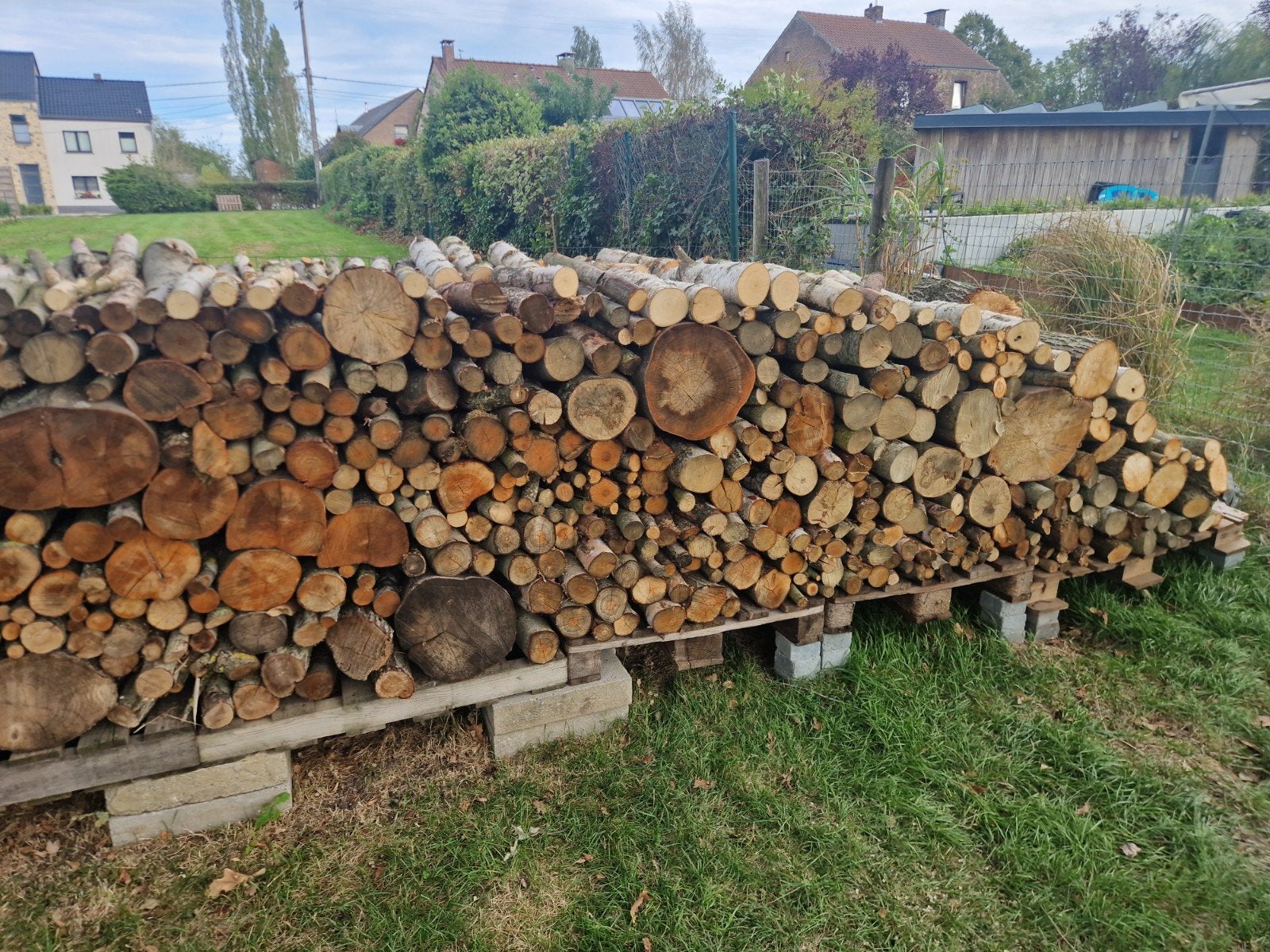 Bois de Chauffage, Jardin & Terrasse, 6 m³ ou plus, Enlèvement, Hêtre, Bûches
