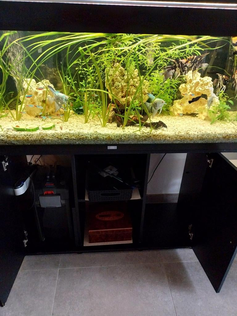 Aquarium Juwel 240l a vendre, Dieren en Toebehoren, Ophalen, Eheim