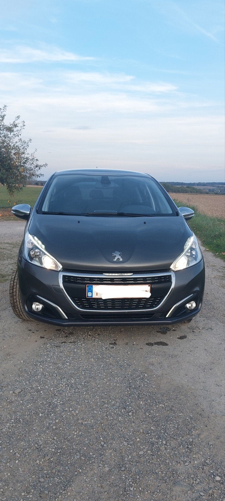 Peugeot 208, Argent ou Gris, Achat, 110 kW, Boîte manuelle