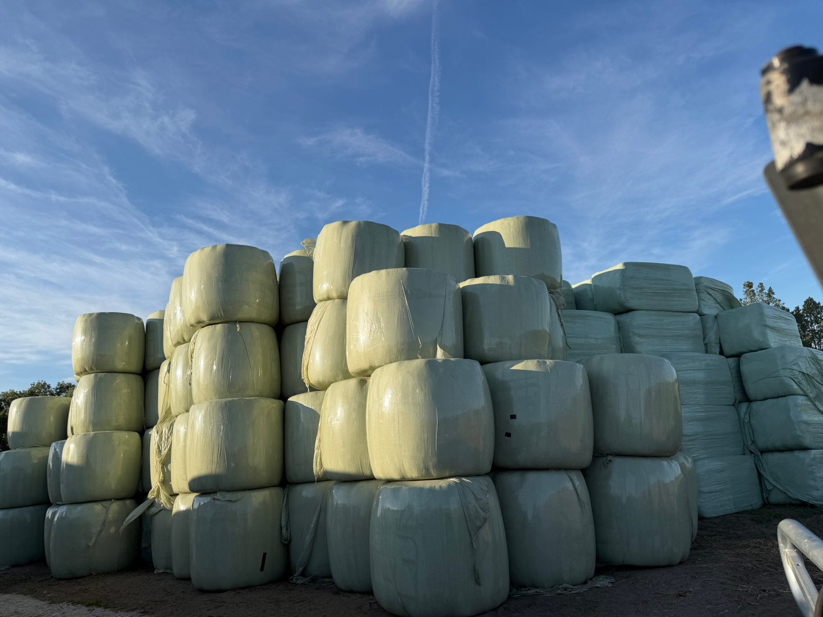 Grote bollen  droog hooi, Ophalen