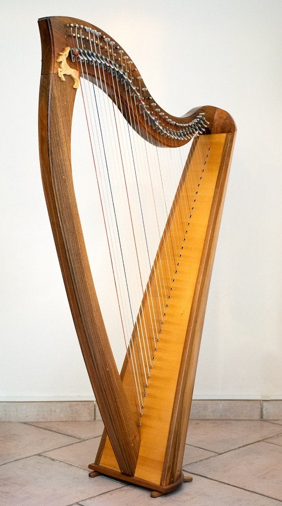 Harpe celtique 34 cordes, Musique & Instruments, Enlèvement, Comme neuf