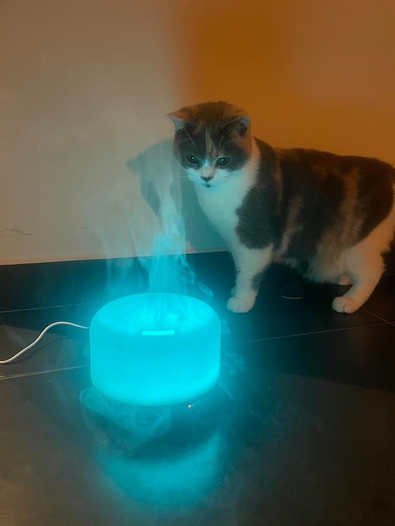 Luchtverfrisser, Dieren en Toebehoren, Kattenvoerbakken en Drinkbakken, Zo goed als nieuw, Ophalen
