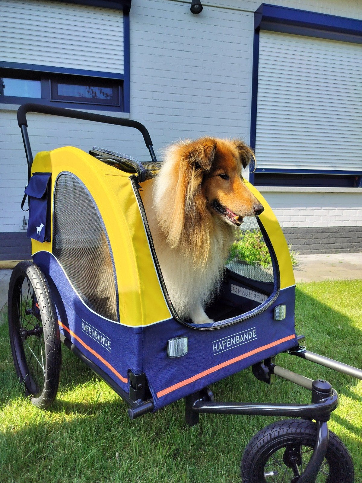 nieuw - Honden fietskar / wandelkar, Fietsen en Brommers, Ophalen