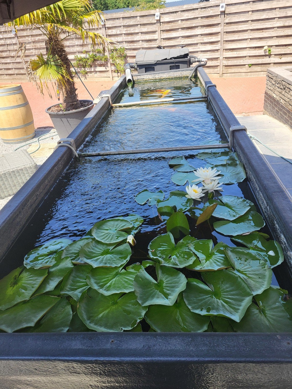 vijver bak met filter, Tuin en Terras, Vijvers, Ophalen