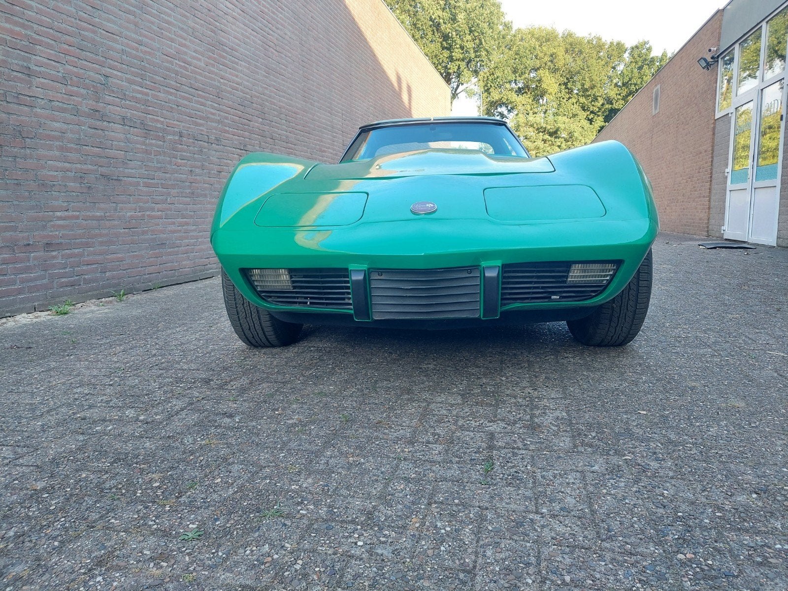 Corvette C3 1976 V8 NL kenteken, foto 2
