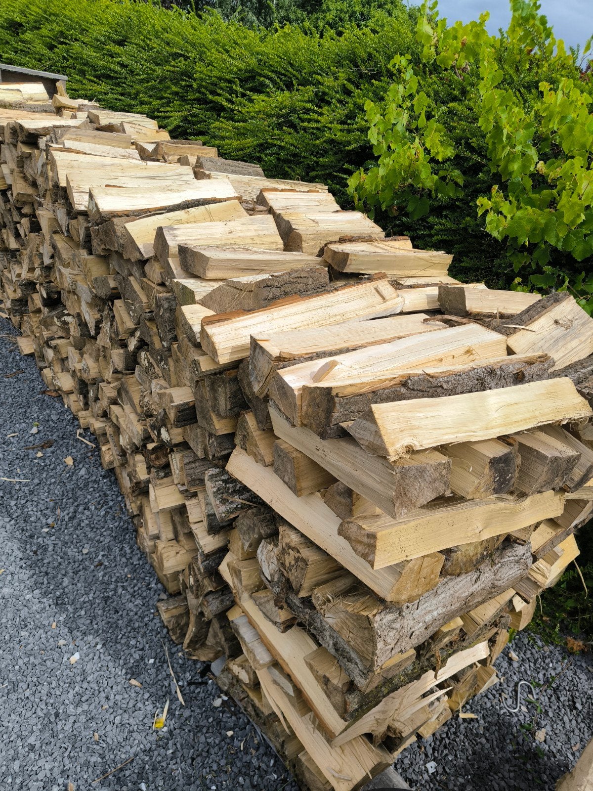 bois de chauffage sec pour cet hiver
