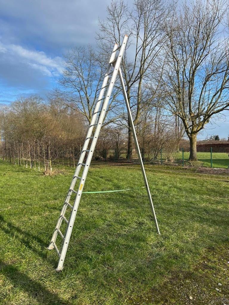 Pluk ladders 15 stuks, Doe-het-zelf en Bouw, Ladders en Trappen, Ophalen, Zo goed als nieuw, Ladder, 4 meter of meer